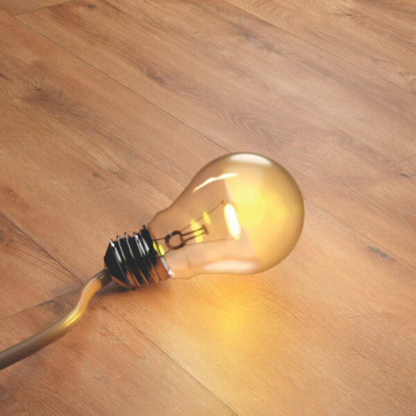 Ostrich Wood - Image 2