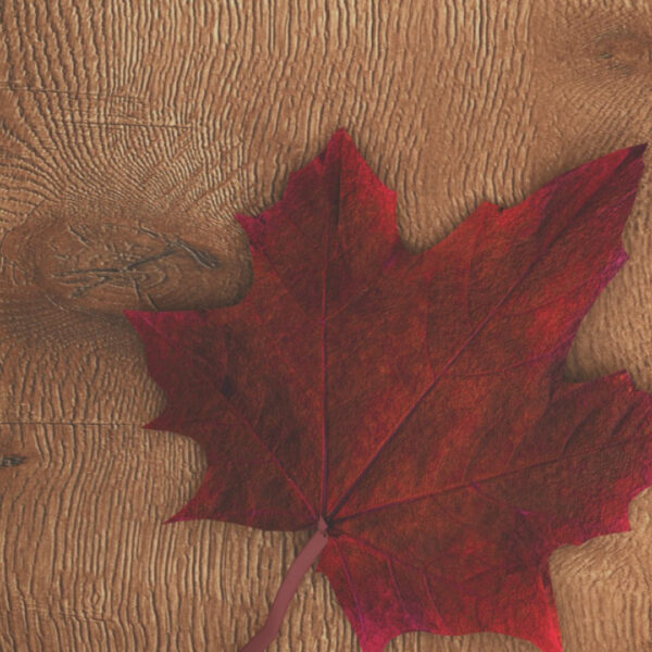 Natural Wood - Image 2