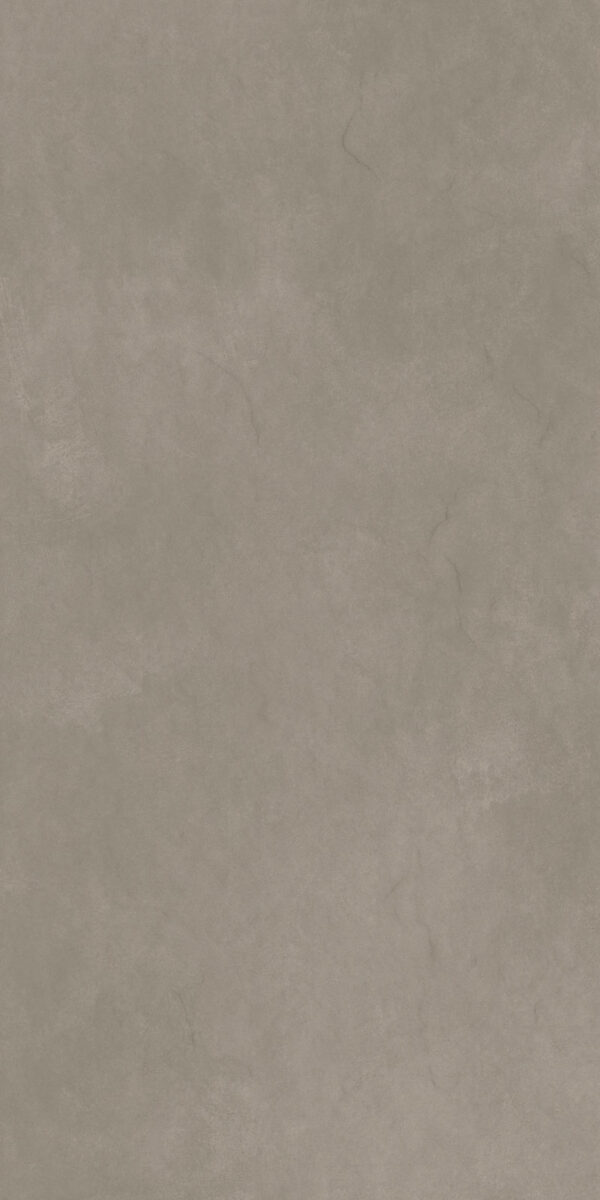 FOREVER OLIVE - Image 2