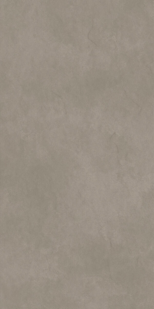 FOREVER OLIVE - Image 3