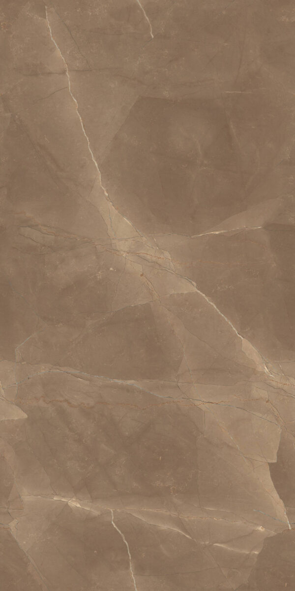 BRONZE ARMANI